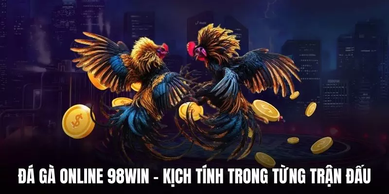 Đá gà online 98WIN - Kịch tính trong từng trận đấu