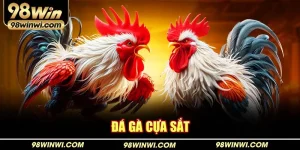Đá gà cựa sắt