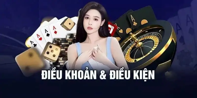 Khái quát chung về mục điều khoản và điều kiện